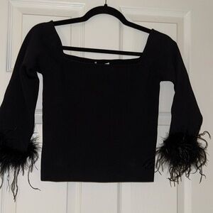 Black top with feather sleeves. Size medium, fits like a small.